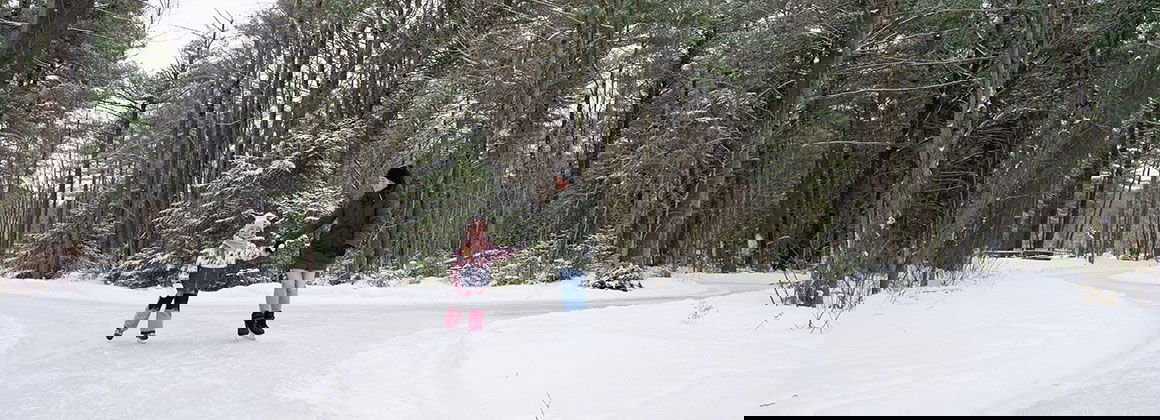 PARC DU DOMAINE VERT