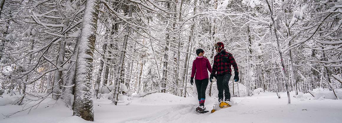 PARC DU MONT LOUP-GAROU