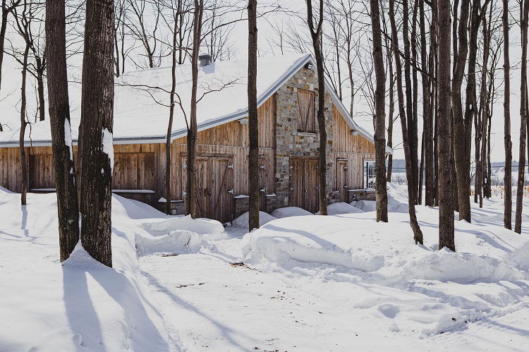 Cabane à sucre d'Amour