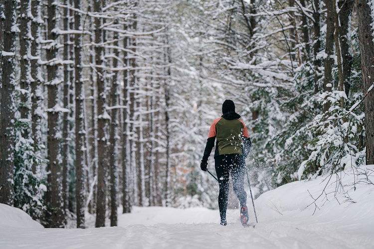 Domaine Saint-Bernard