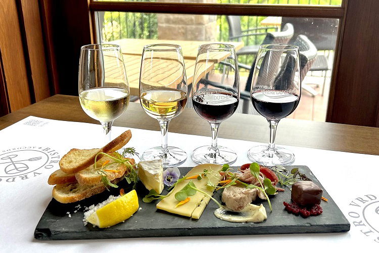 Vignoble Rivière du Chêne