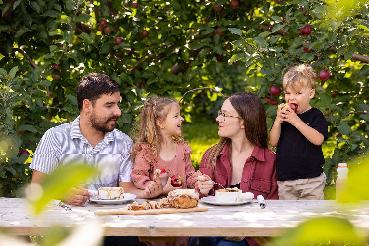 Labonté de la pomme