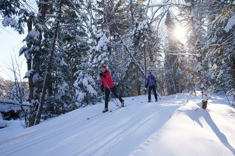 Parc Éco Laurentides