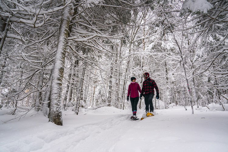 Parc Mont Loup Garou