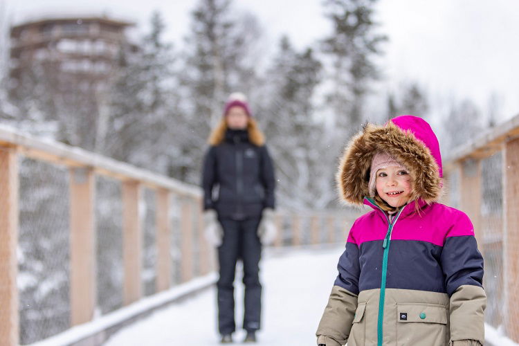 Sentier des cimes Laurentides