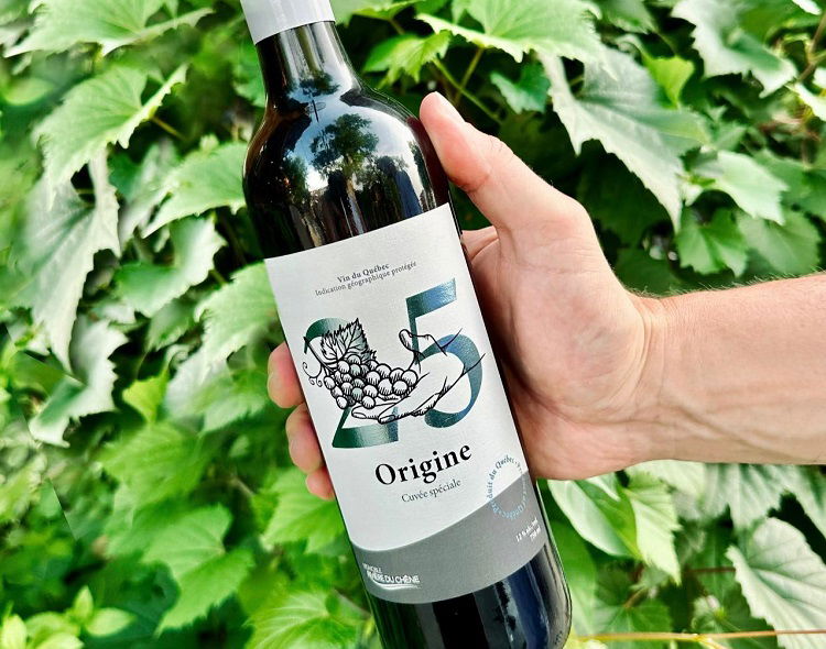 Vignoble Rivière du Chêne