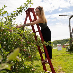 Tourisme gourmand - Labonté de la Pomme