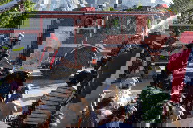 thumb__450_250_0_0_crop