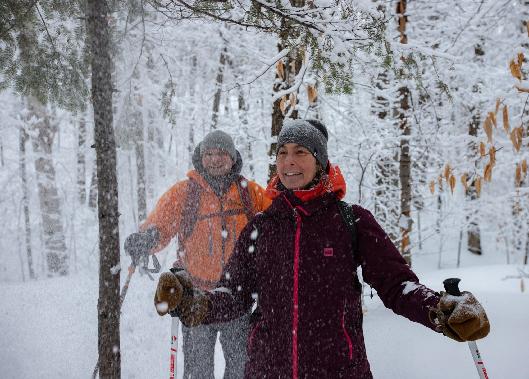 Plein air avec D-Tour